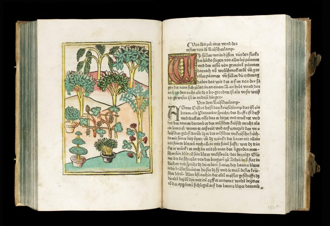 CULTURA, Rara Herbaria. Libri e natura dal XV al XVII secolo: dagli  incunaboli della Collezione Peter Goop ai volumi botanici della prima  Accademia dei Lincei